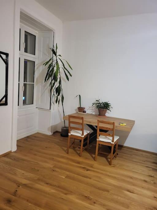 Sehr Zentral Gelegen Apartment Виена Екстериор снимка