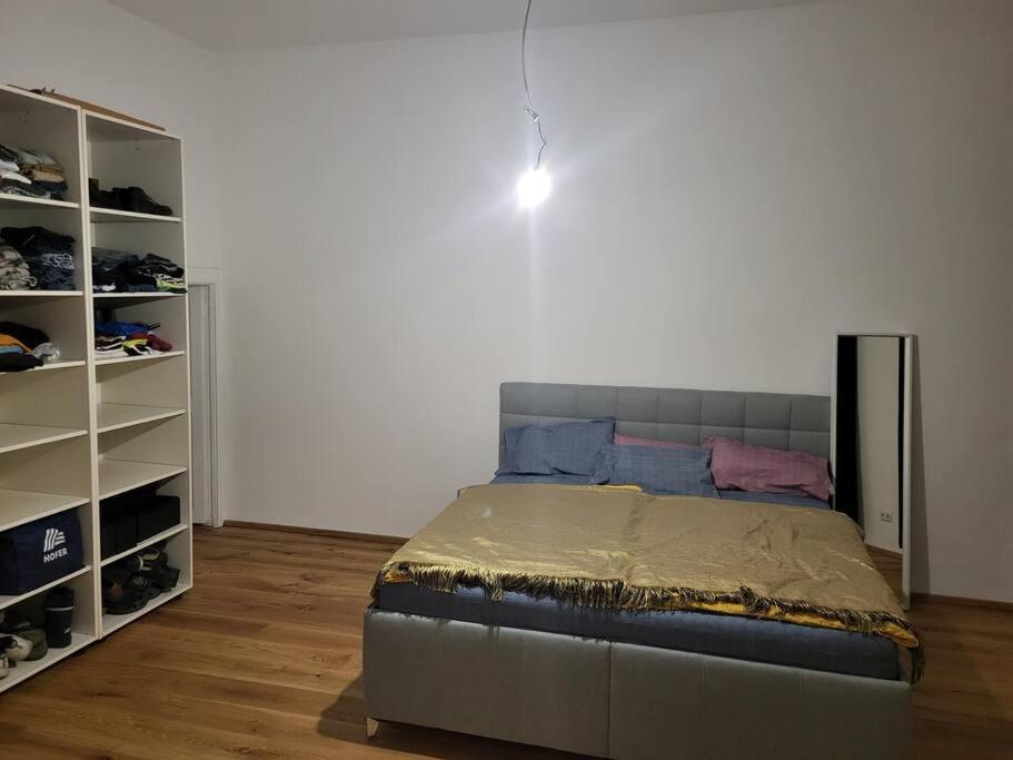 Sehr Zentral Gelegen Apartment Виена Екстериор снимка
