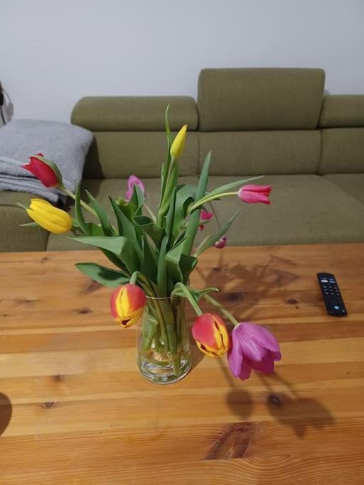 Sehr Zentral Gelegen Apartment Виена Екстериор снимка