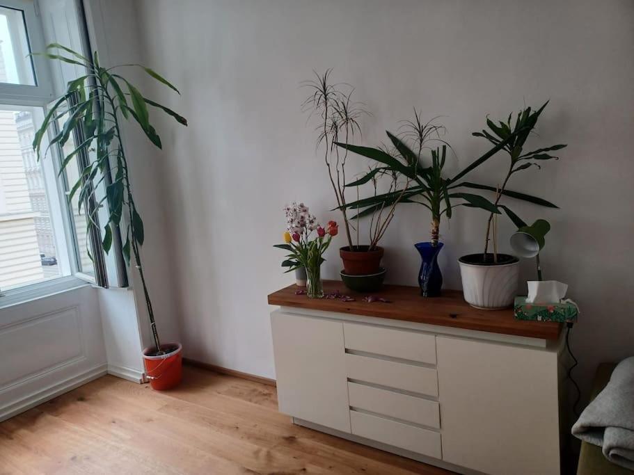 Sehr Zentral Gelegen Apartment Виена Екстериор снимка